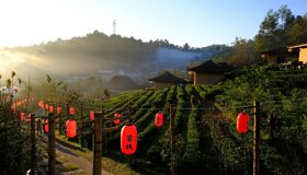 Start your journey with Mae Chaem’s vibrant glow